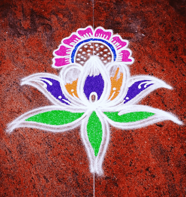 Comely Lotus Rangoli