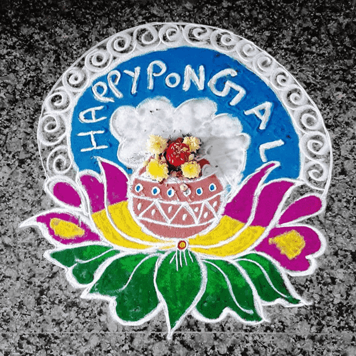 Magnificent Pongal Rangoli