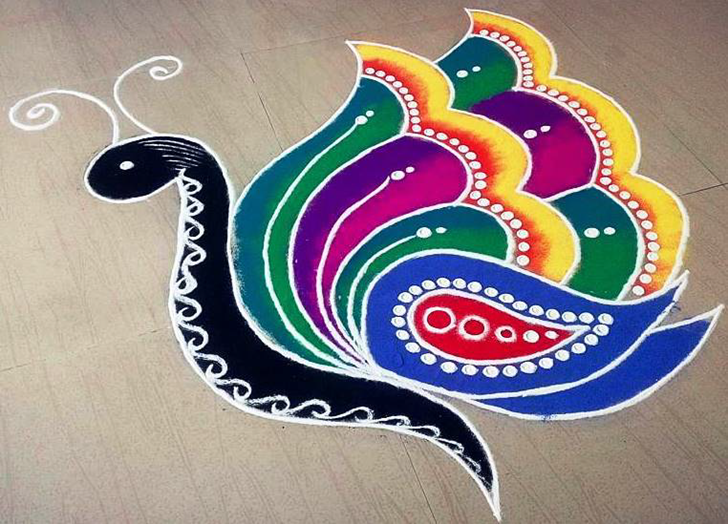 Marvelous Titli Rangoli