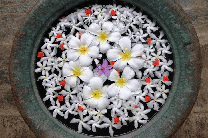 Delicate Water Rangoli