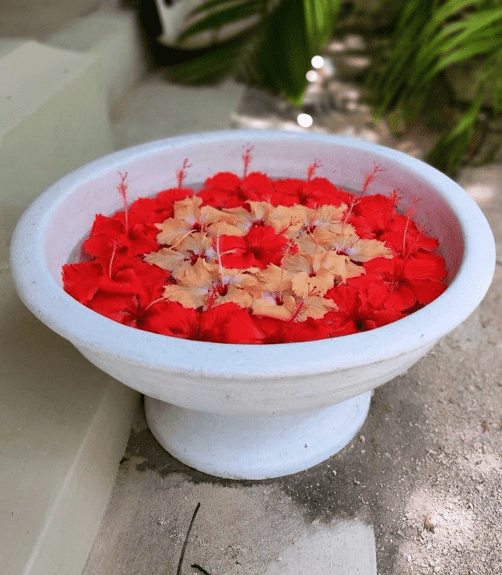 Magnificent Water Rangoli