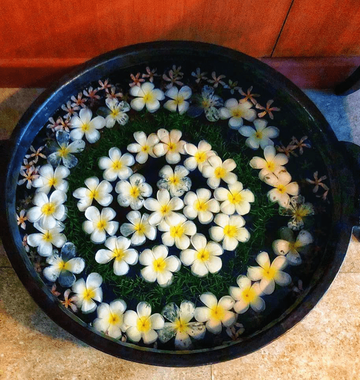 Ravishing Water Rangoli